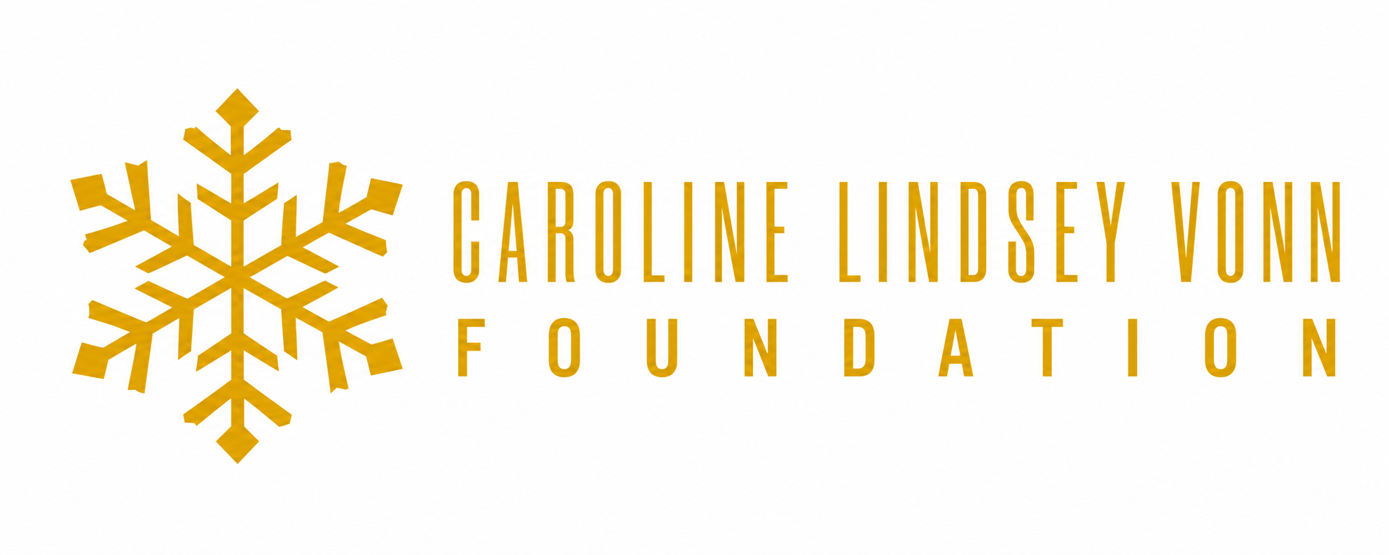 Caroline Lindsey Vonn Foundation